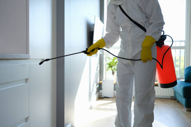 Mold Removal and Inspection in Whitmore Lake, MI