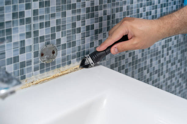 Best Professional Mold Removal  in Whitmore Lake, MI