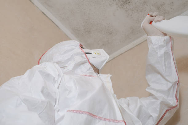 Best Toxic Mold Removal  in Whitmore Lake, MI