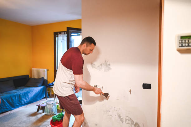 Best Office Mold Removal Services  in Whitmore Lake, MI